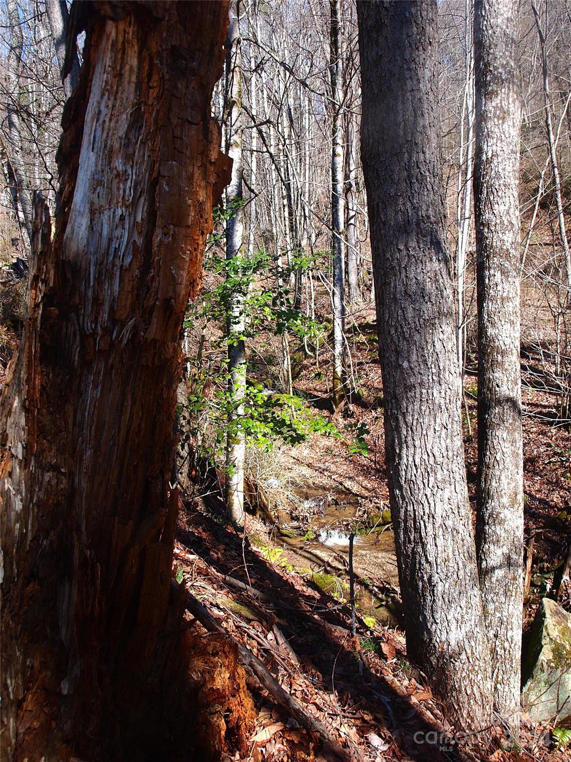 664 Woodfin Road Sylva NC 28779