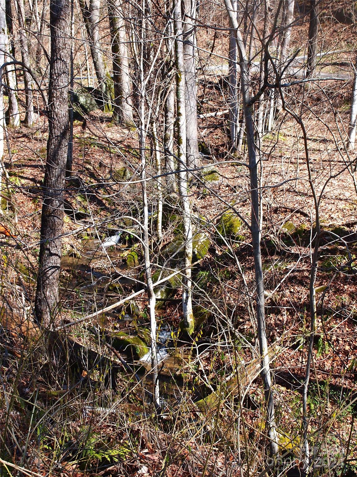 664 Woodfin Road Sylva NC 28779
