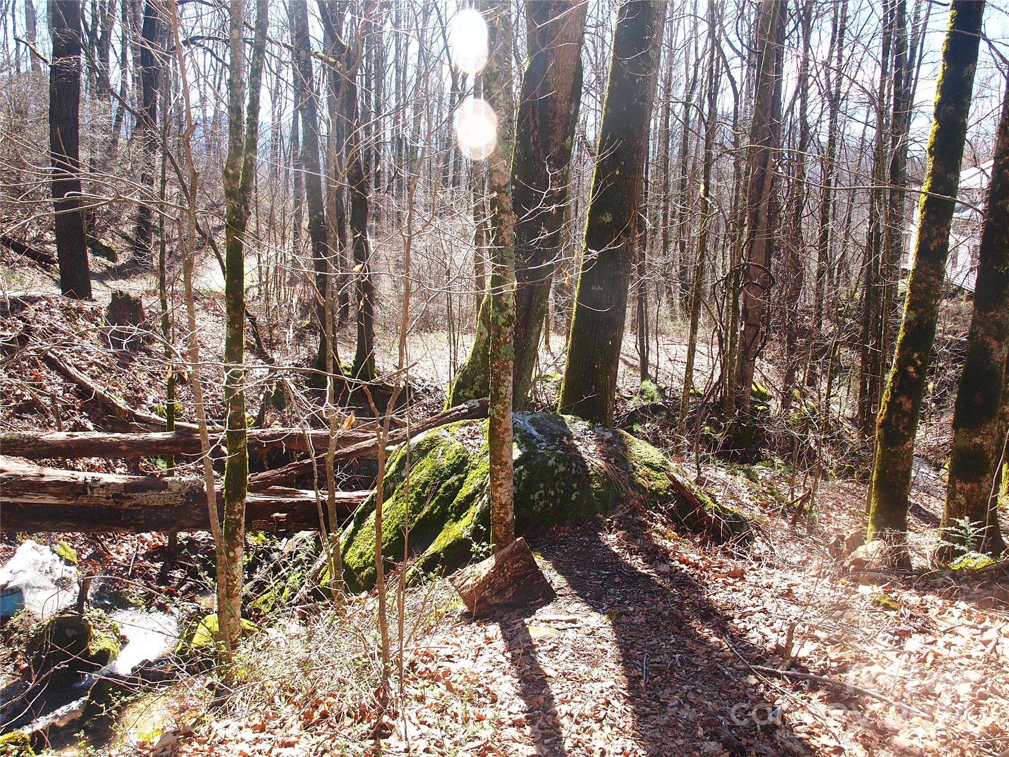 664 Woodfin Road Sylva NC 28779