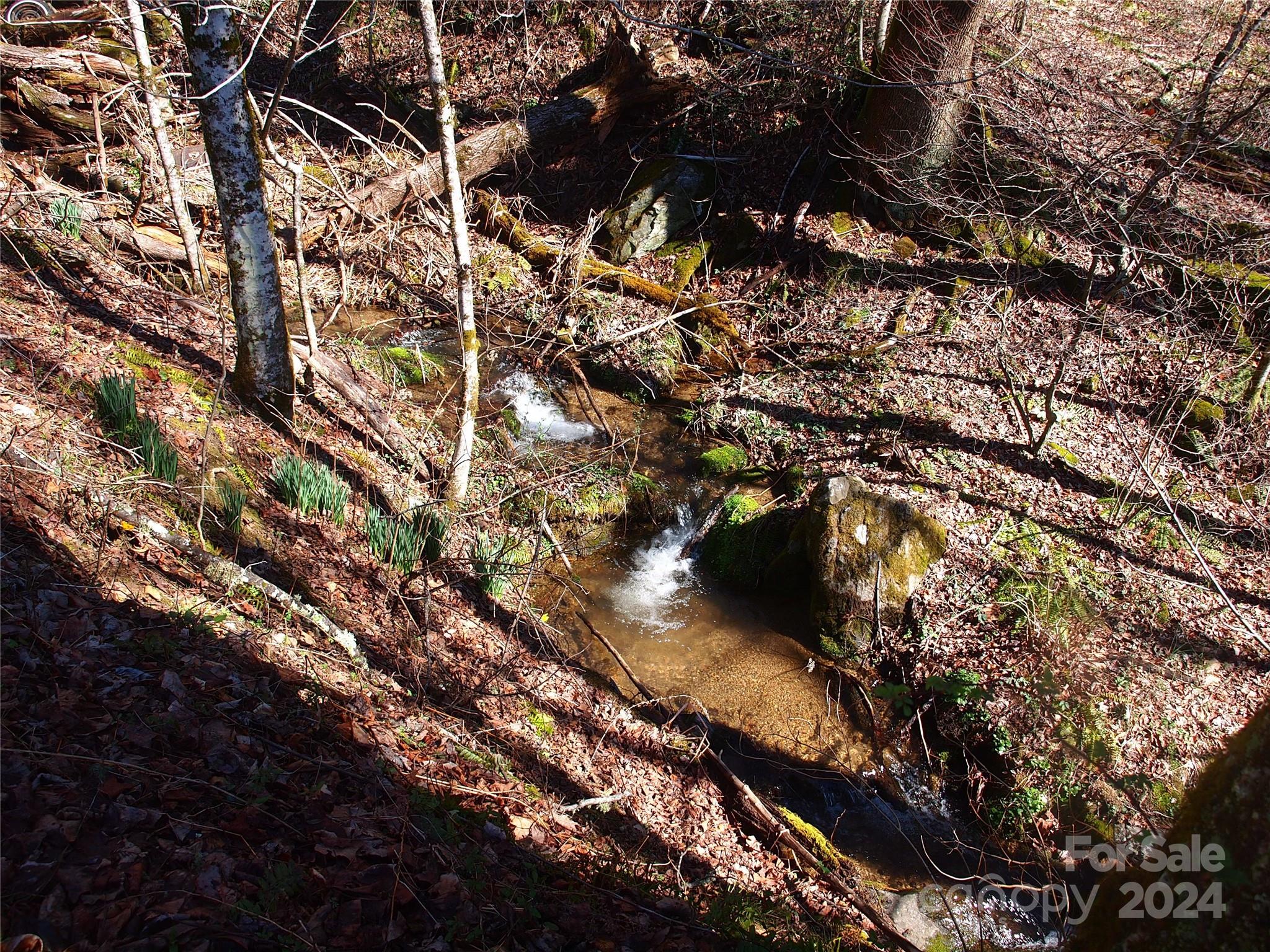 664 Woodfin Road Sylva NC 28779
