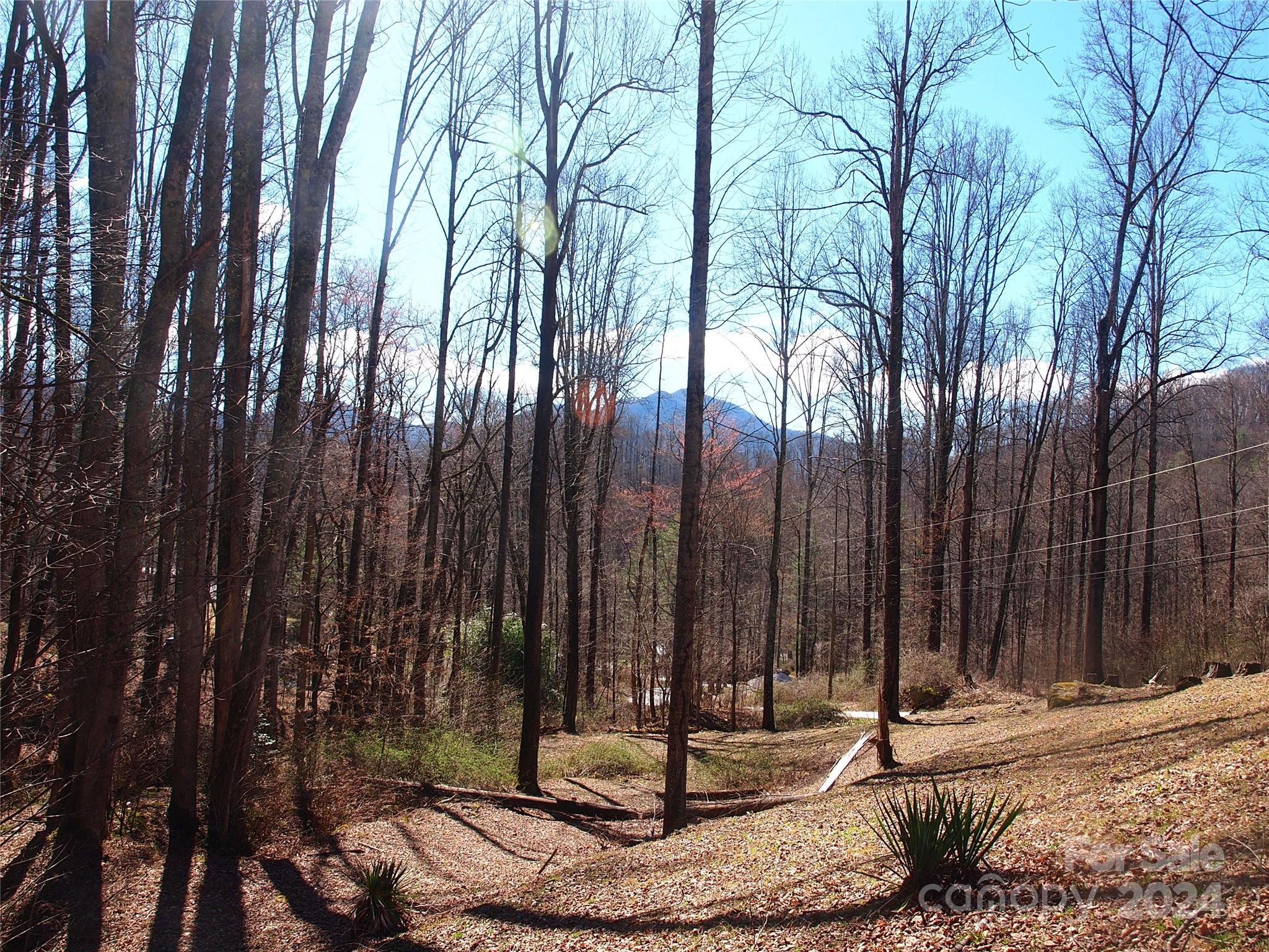 664 Woodfin Road Sylva NC 28779