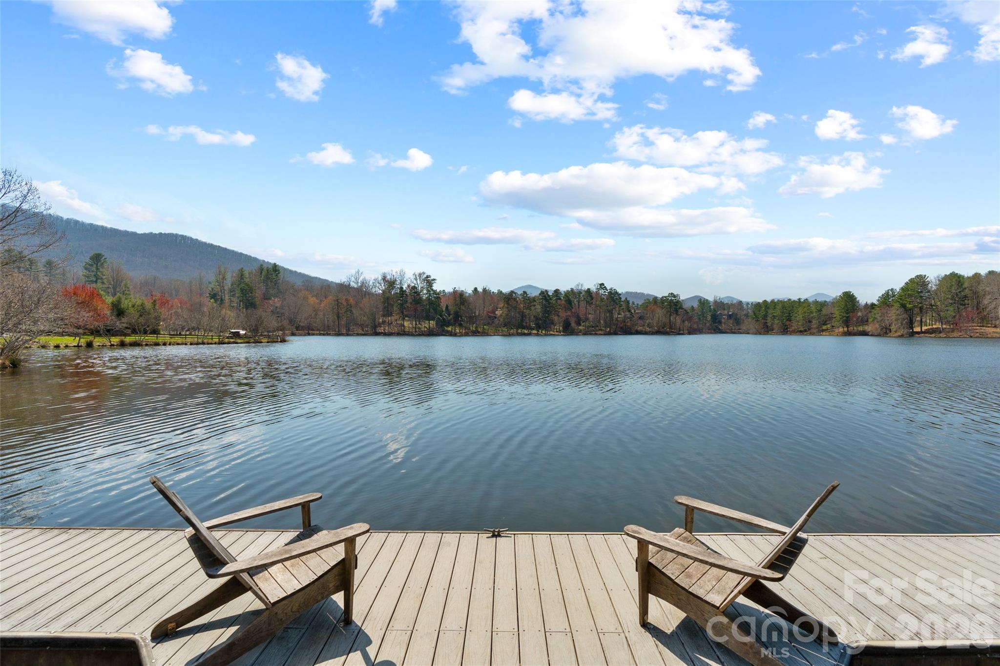 7 Magic Sam Court Biltmore Lake NC 28715