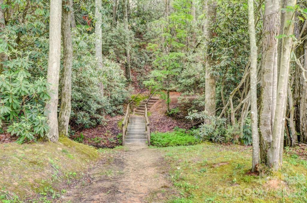 7 Magic Sam Court Biltmore Lake NC 28715