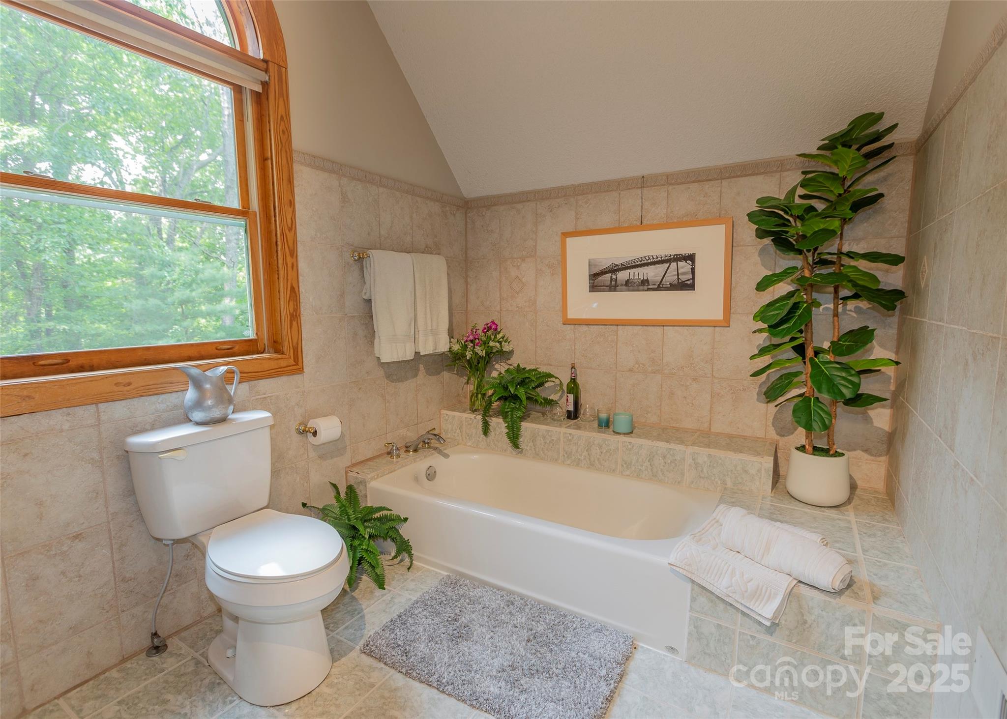 62 Roseanne Lane Fairview NC 28730