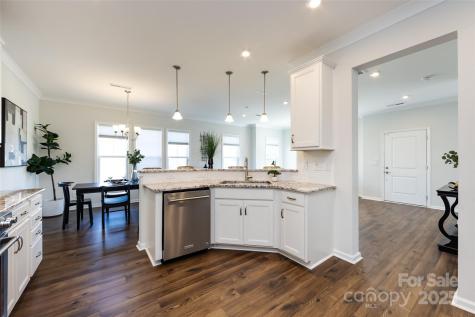 23109 Clarabelle Drive Charlotte NC 28273