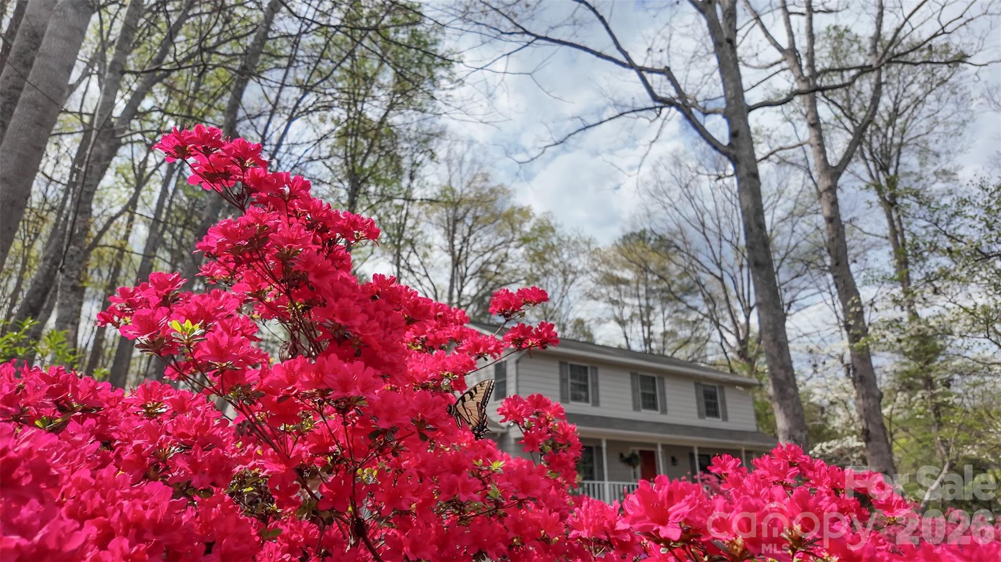 105 Horse Shoe Lane Morganton NC 28655