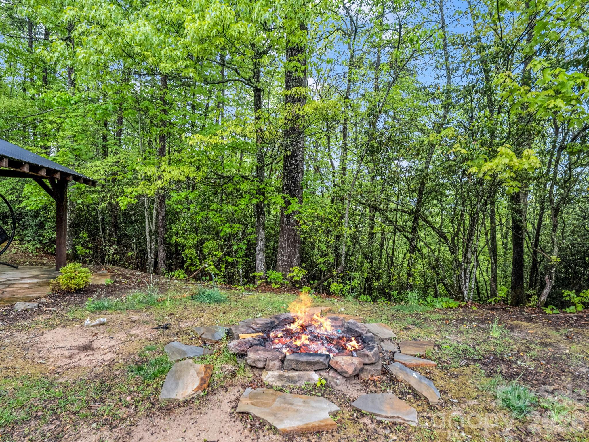 180 Canaday Drive Brevard NC 28712