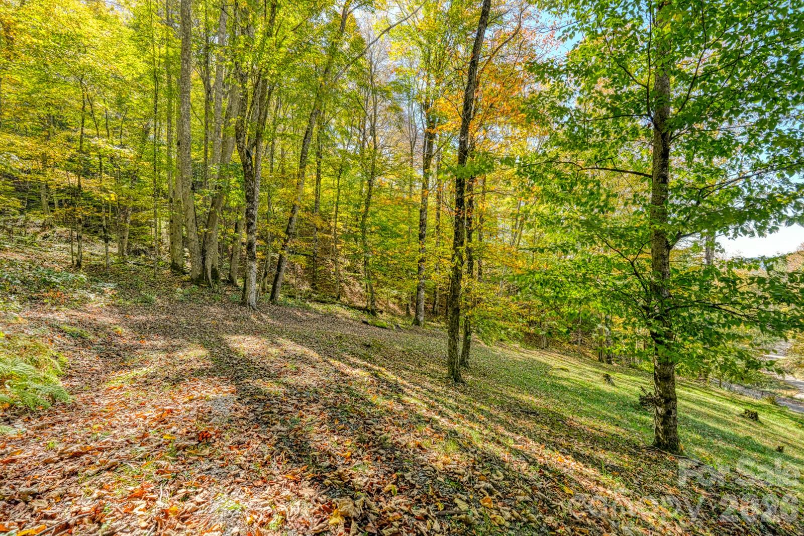 1495 El Miner Drive Mars Hill NC 28754