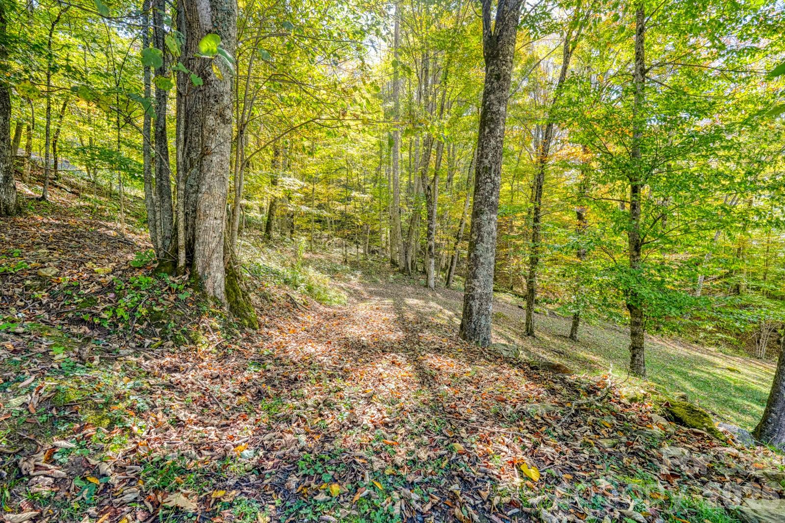 1495 El Miner Drive Mars Hill NC 28754