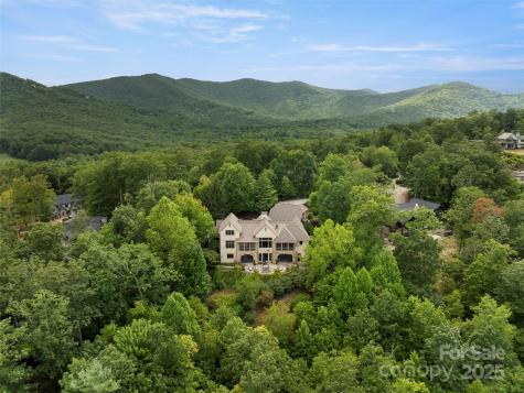 1929 Tree View Trail Arden NC 28704