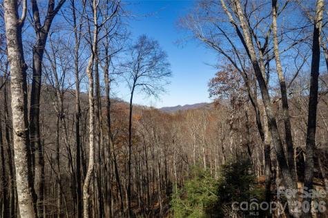 126 Mossycup Court Tuckasegee NC 28783