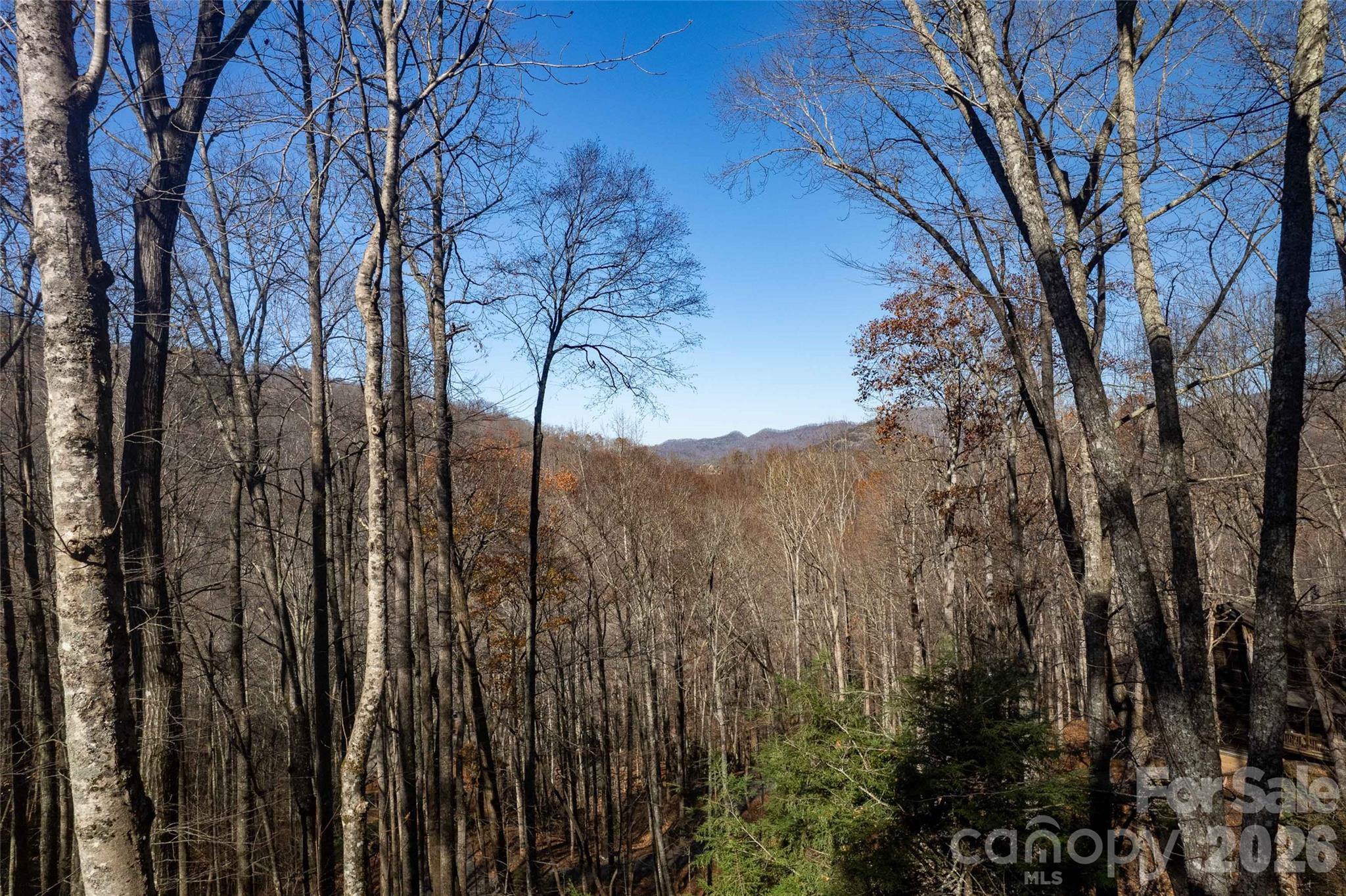 126 Mossycup Court Tuckasegee NC 28783