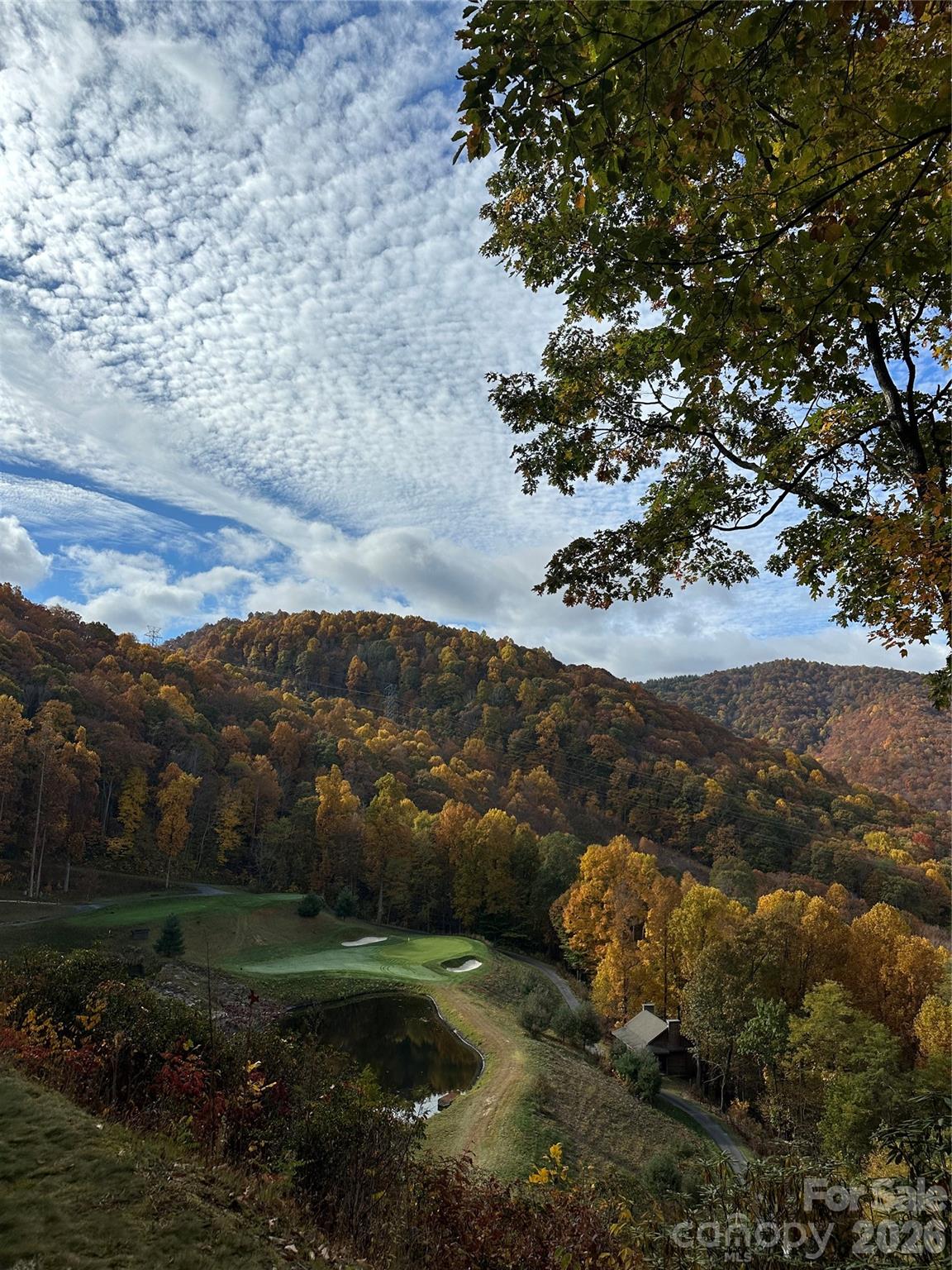 126 Mossycup Court Tuckasegee NC 28783