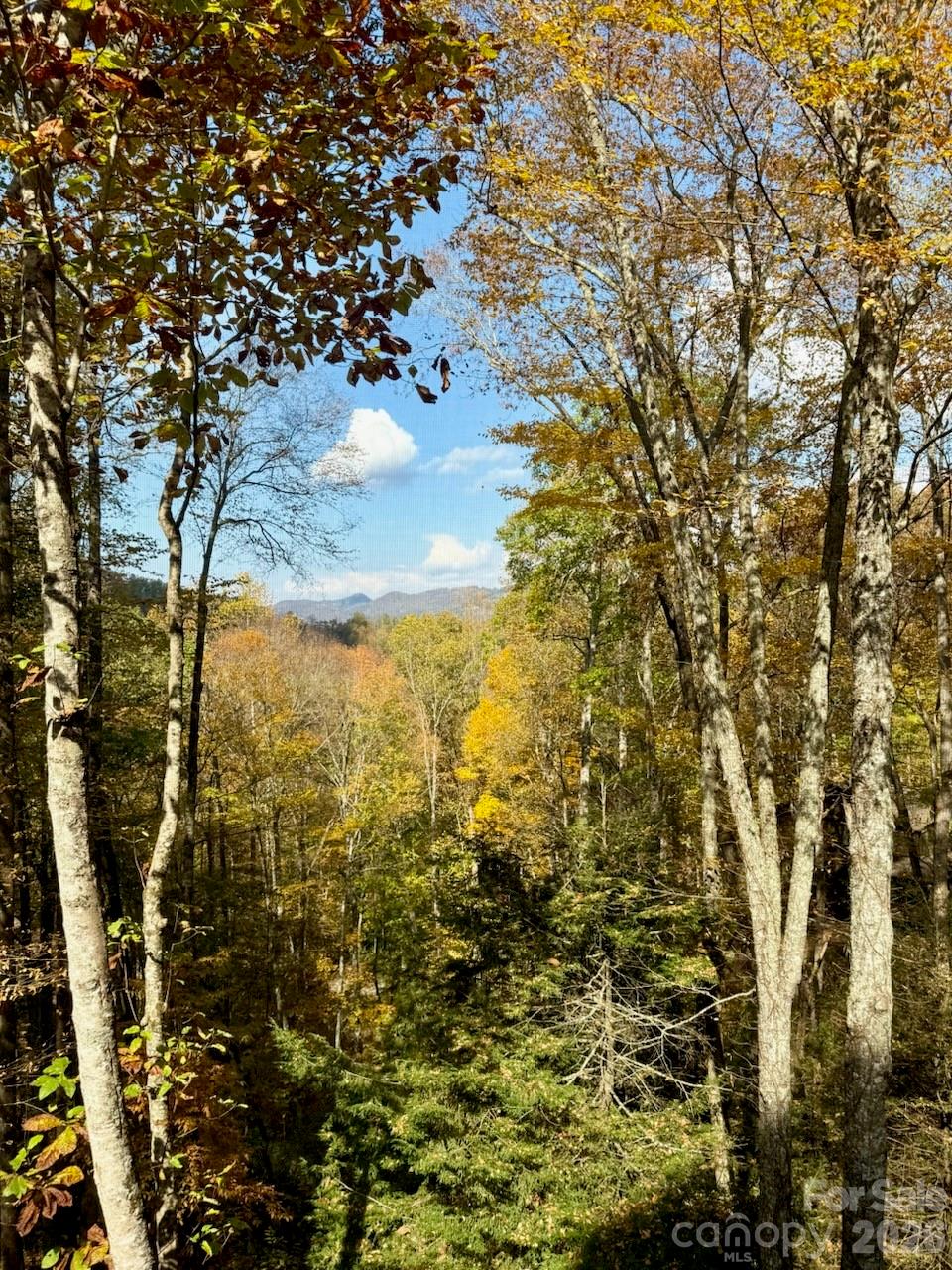 126 Mossycup Court Tuckasegee NC 28783