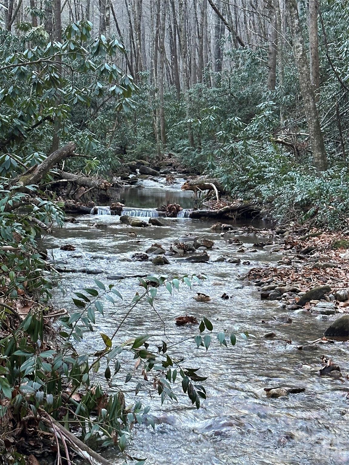 126 Mossycup Court Tuckasegee NC 28783