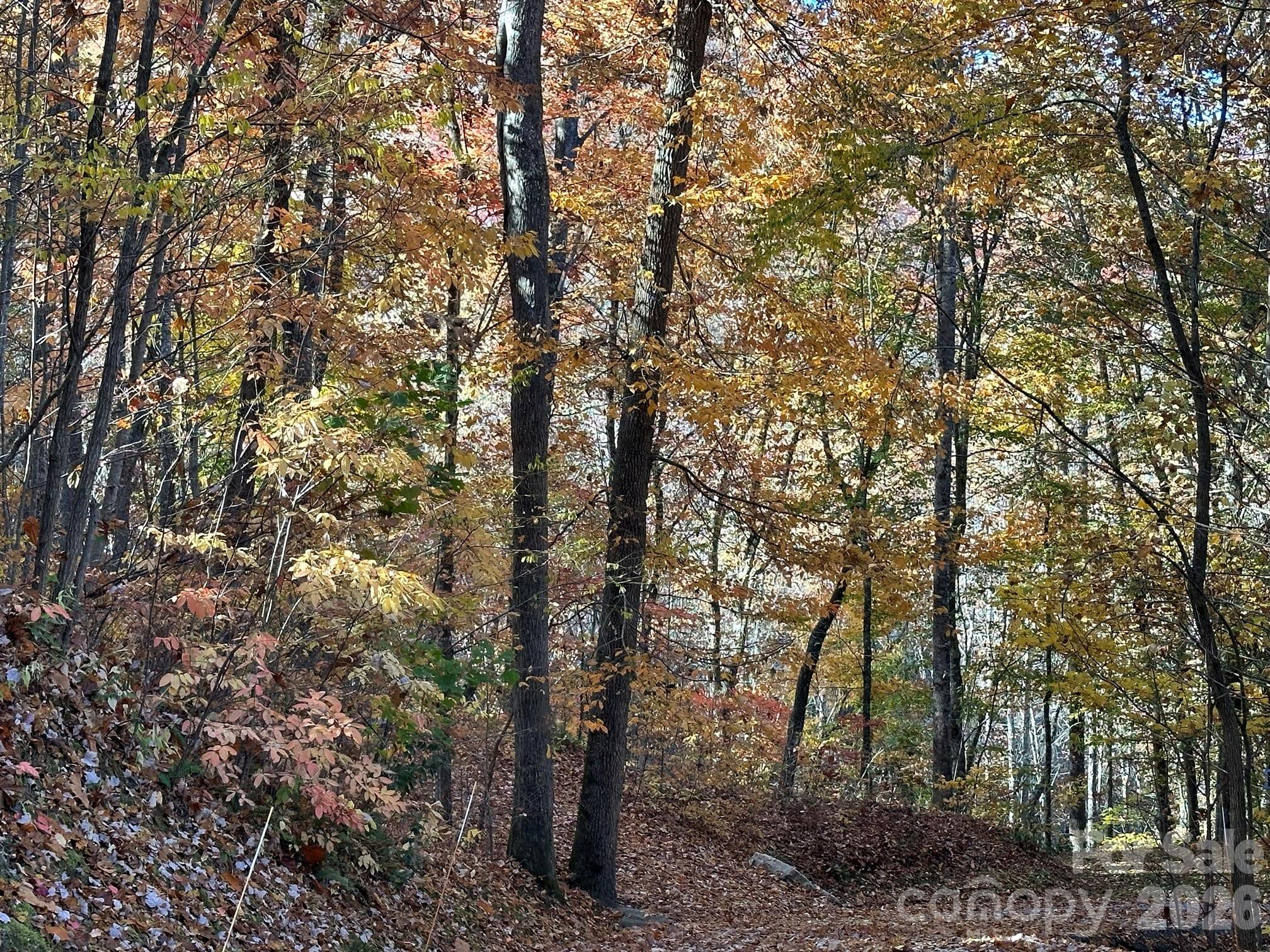 126 Mossycup Court Tuckasegee NC 28783