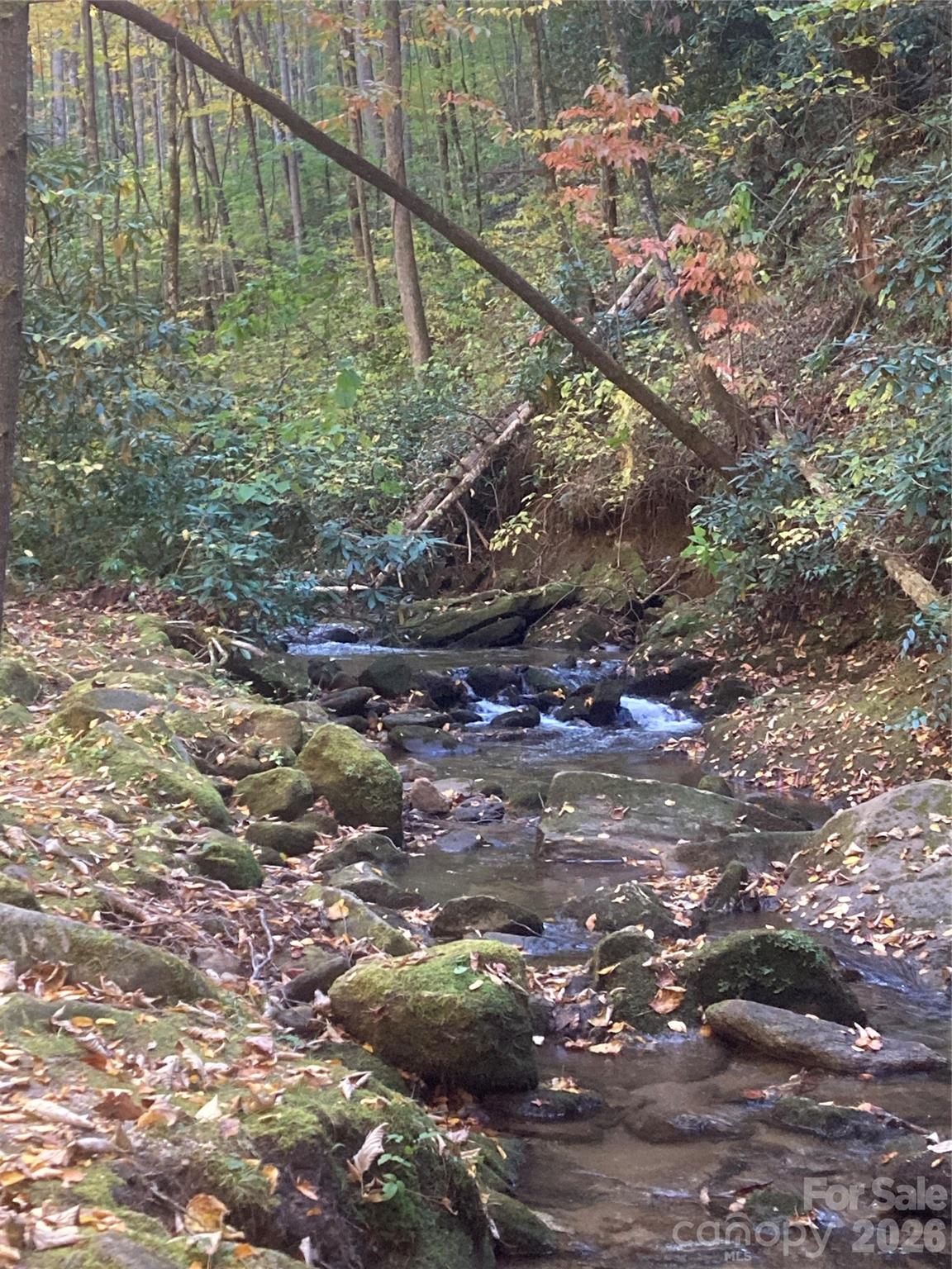 126 Mossycup Court Tuckasegee NC 28783