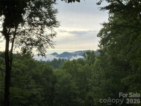 126 Mossycup Court Tuckasegee NC 28783
