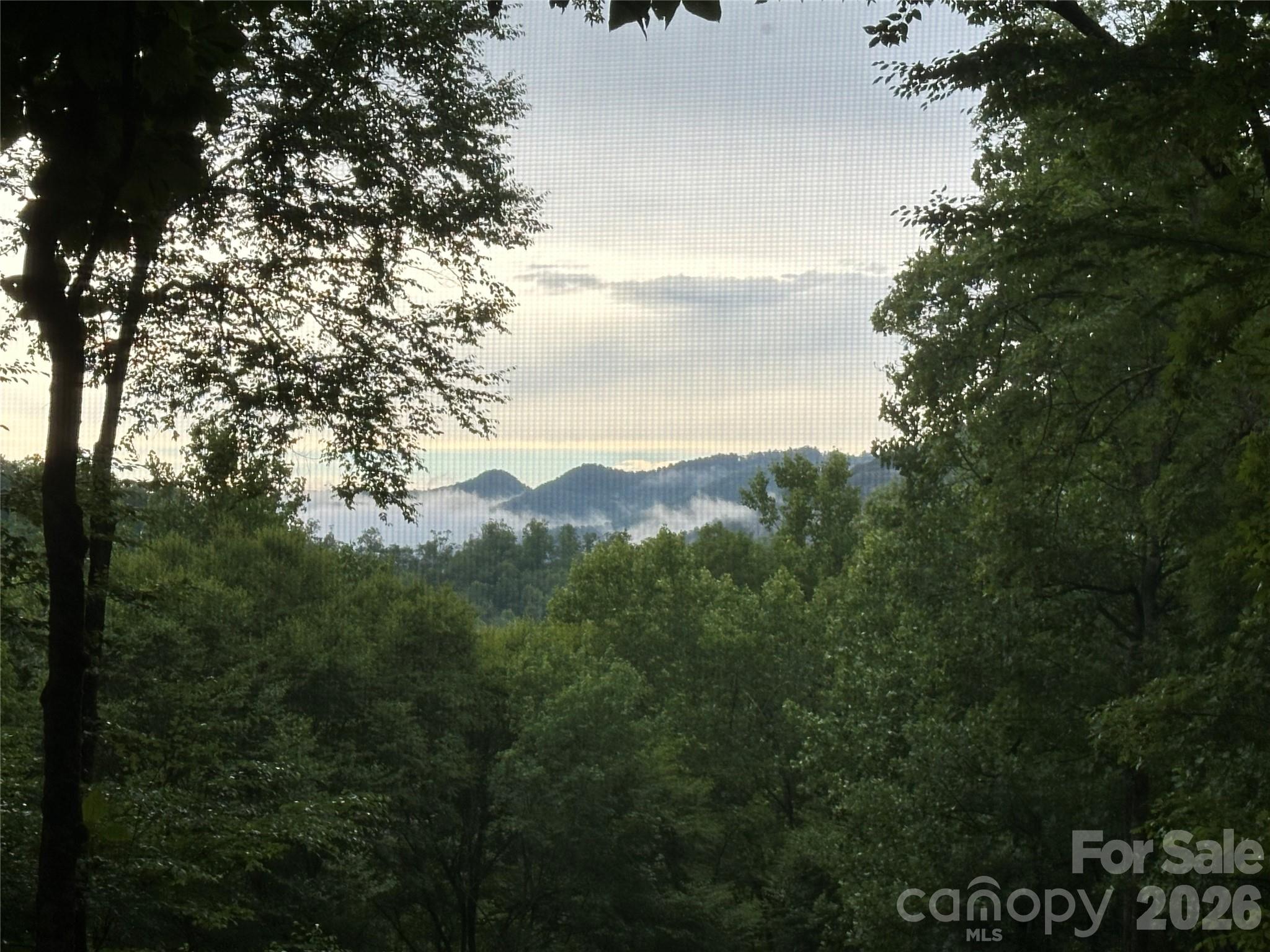126 Mossycup Court Tuckasegee NC 28783