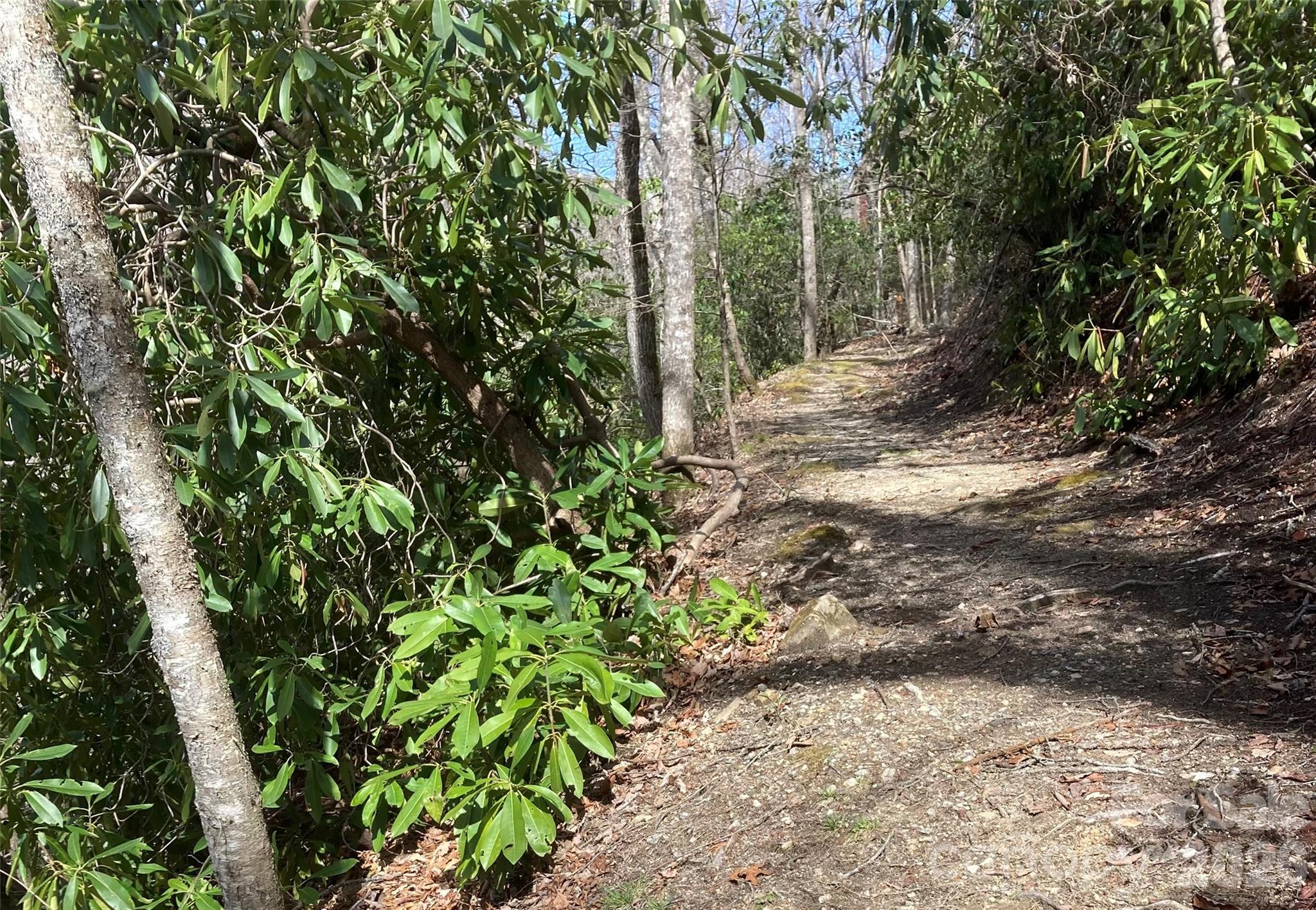 126 Mossycup Court Tuckasegee NC 28783