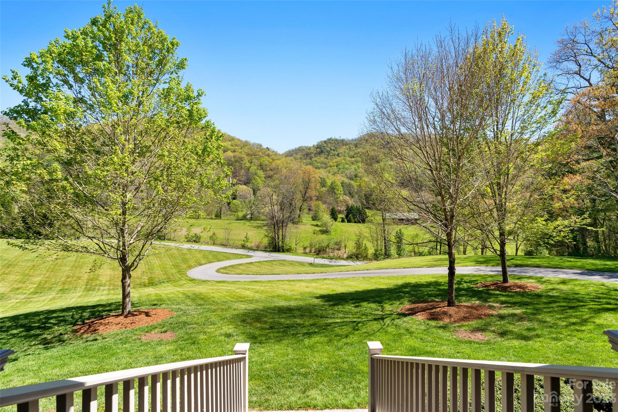 195 Meadow Creek Drive Weaverville NC 28787
