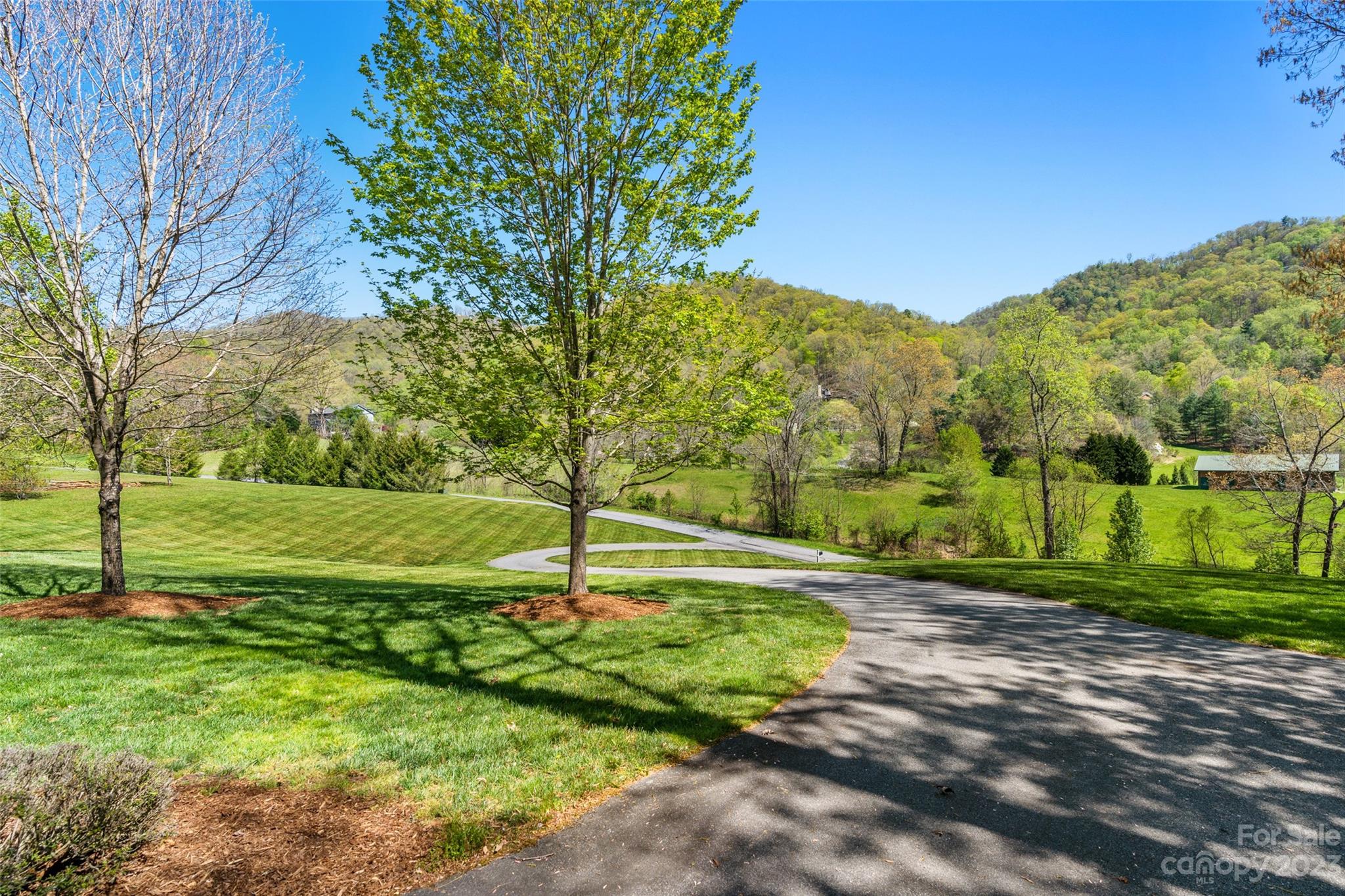 195 Meadow Creek Drive Weaverville NC 28787