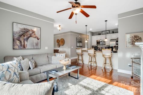 20 Byrdcliffe Lane Asheville NC 28805