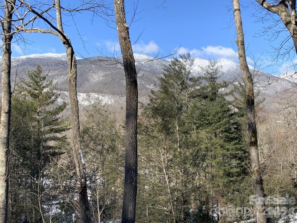 448 Mount Mitchell Drive Burnsville NC 28714