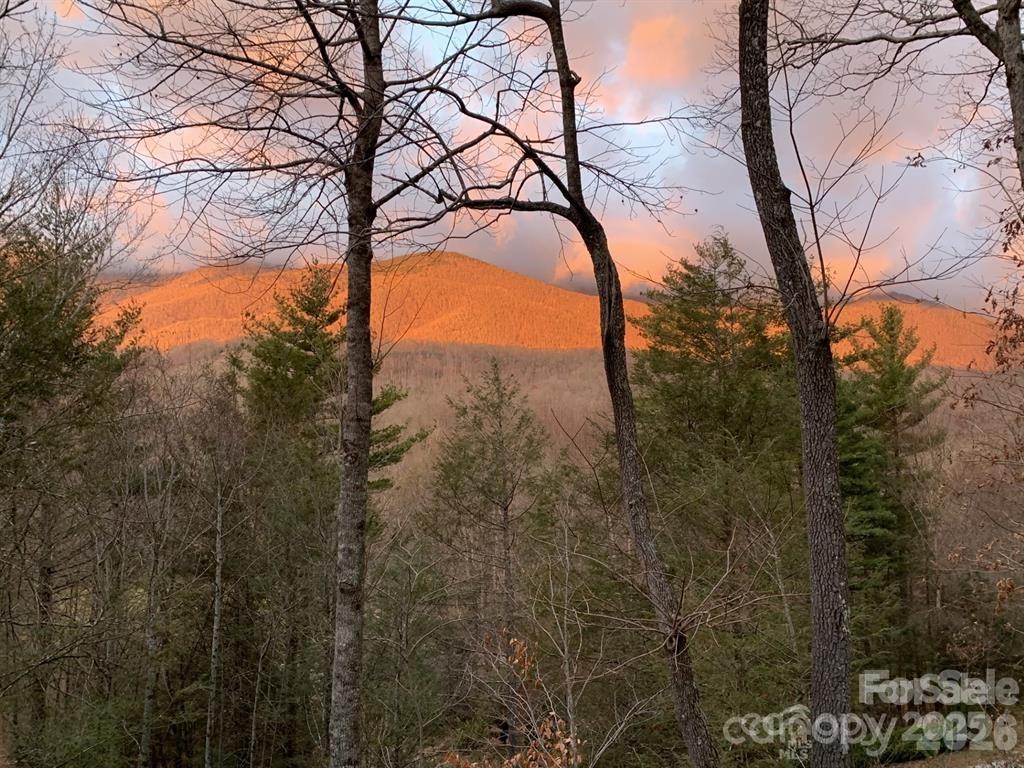 448 Mount Mitchell Drive Burnsville NC 28714