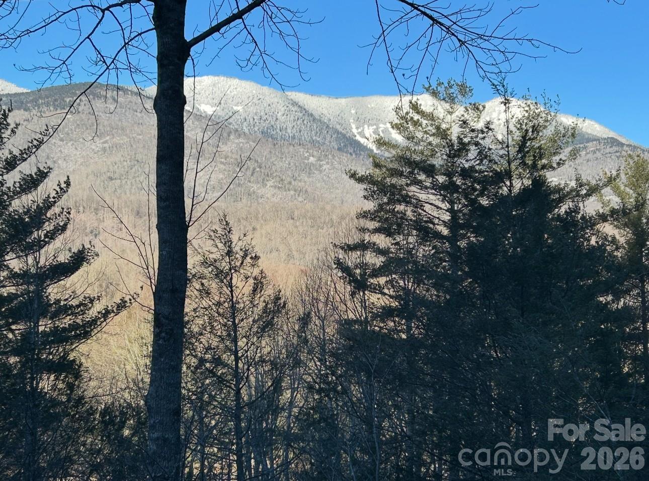 448 Mount Mitchell Drive Burnsville NC 28714