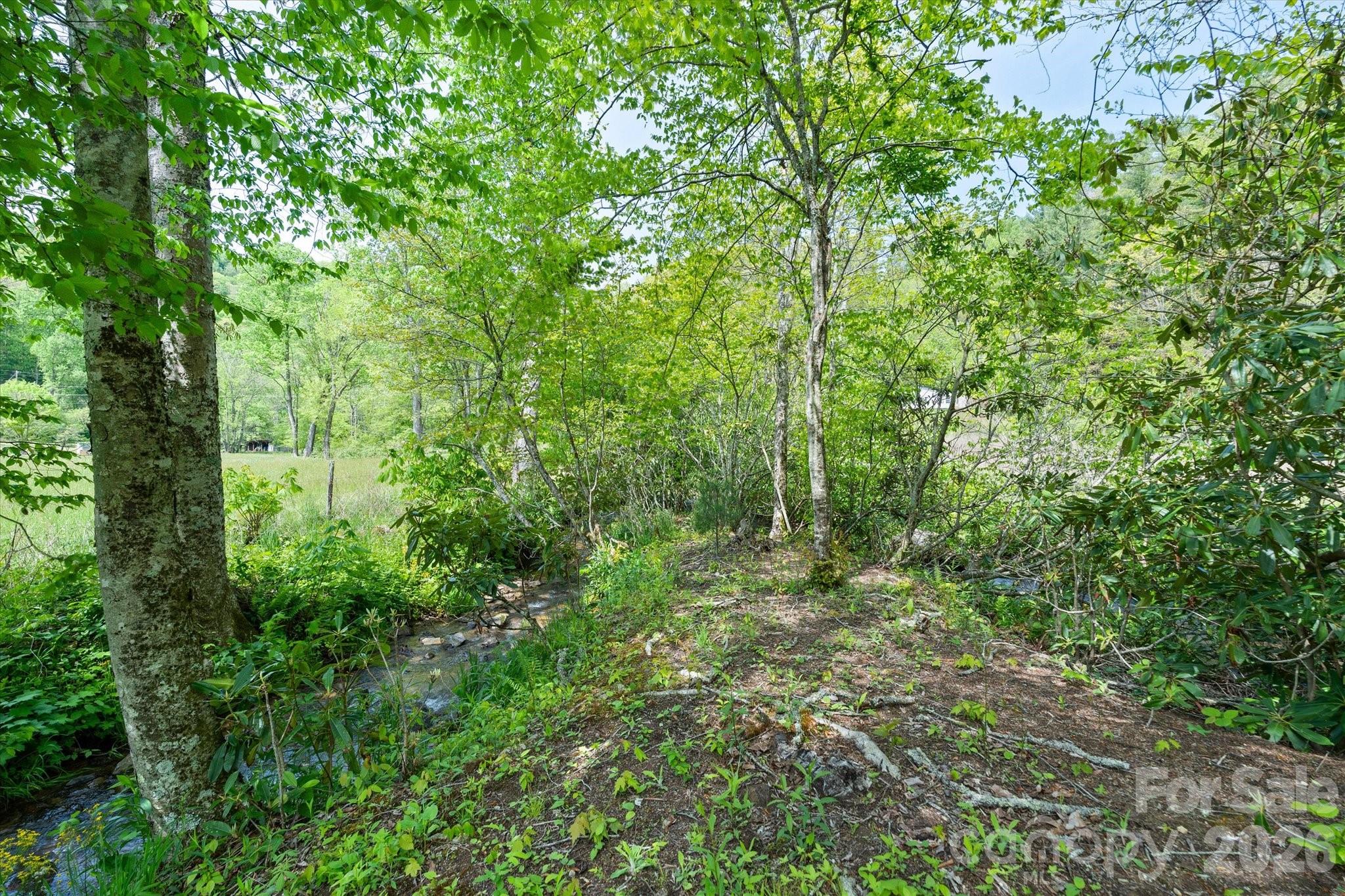 72 Amos Creek Road Marshall NC 28753