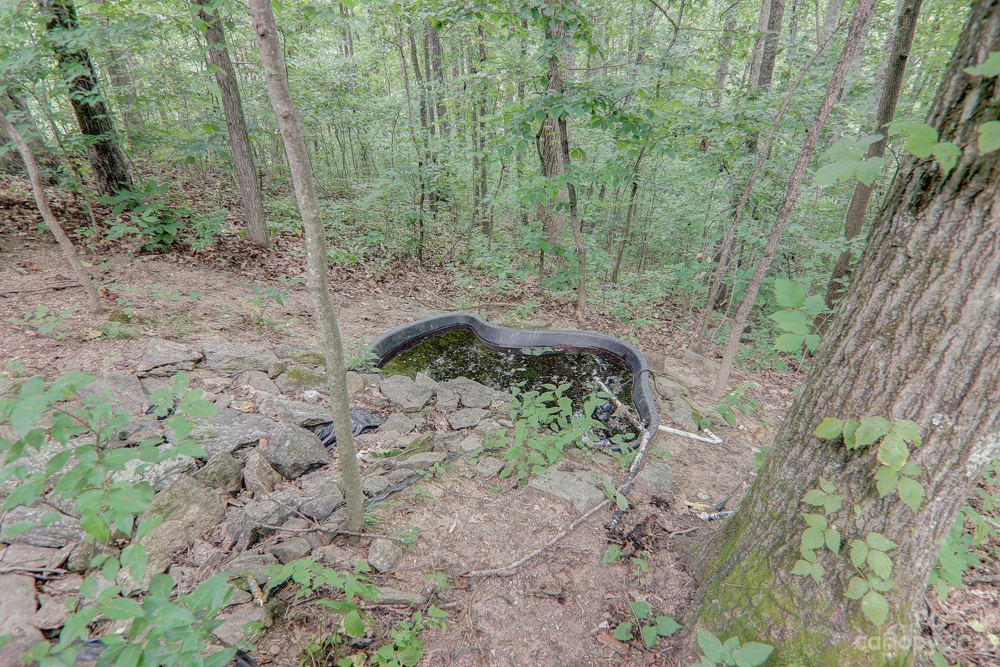 28 Afternoon Drive Fairview NC 28730