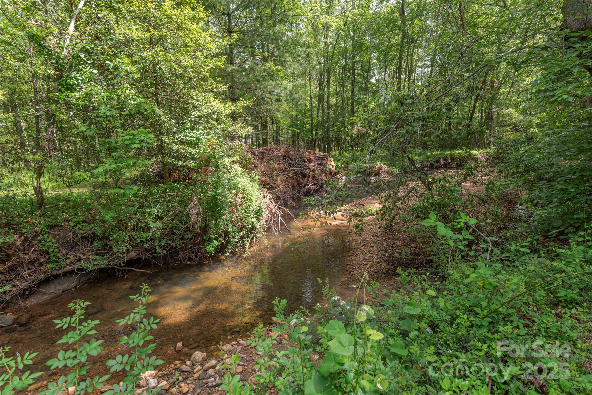 353 Dingle Creek Lane Asheville NC 28803
