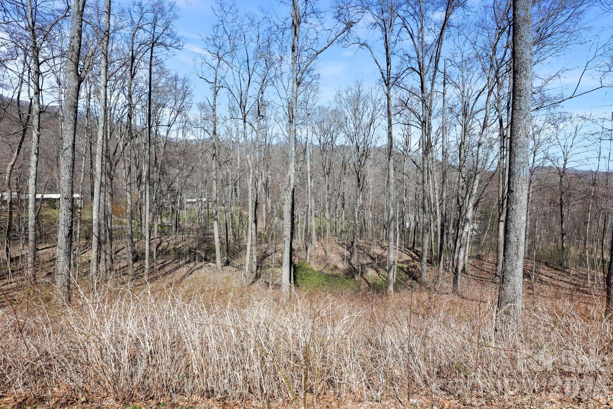 256 Inglewood Cove Road Waynesville NC 28786