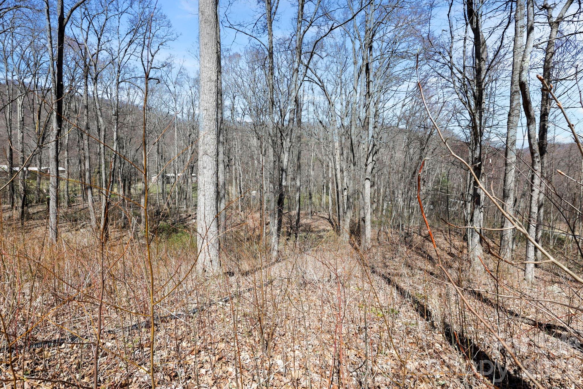 256 Inglewood Cove Road Waynesville NC 28786