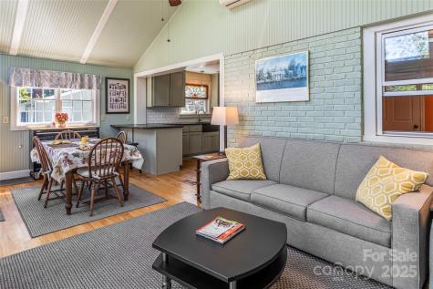 21 Maywood Road Asheville NC 28804