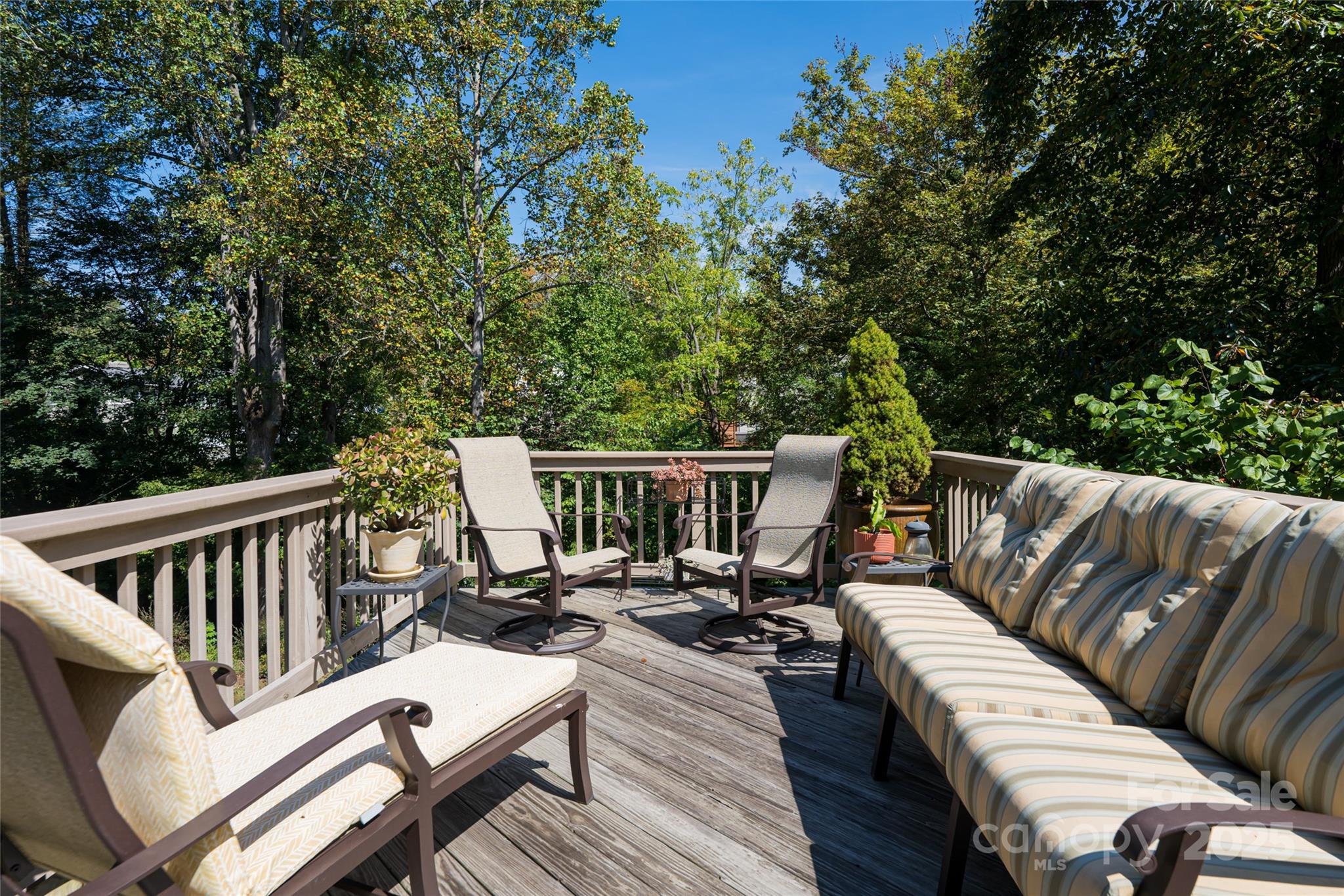 21 Maywood Road Asheville NC 28804