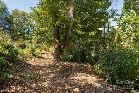 21 Maywood Road Asheville NC 28804