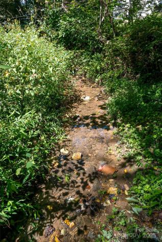 21 Maywood Road Asheville NC 28804