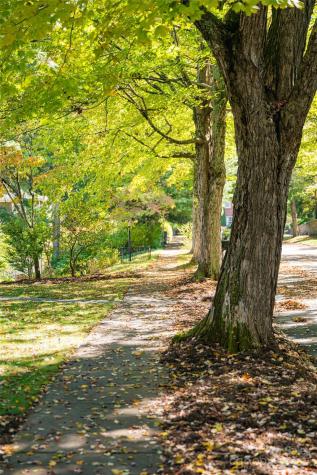 21 Maywood Road Asheville NC 28804