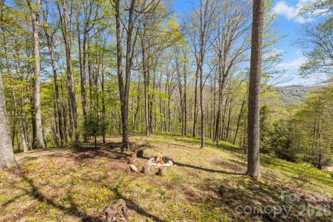868 English Ridge Drive Mars Hill NC 28754
