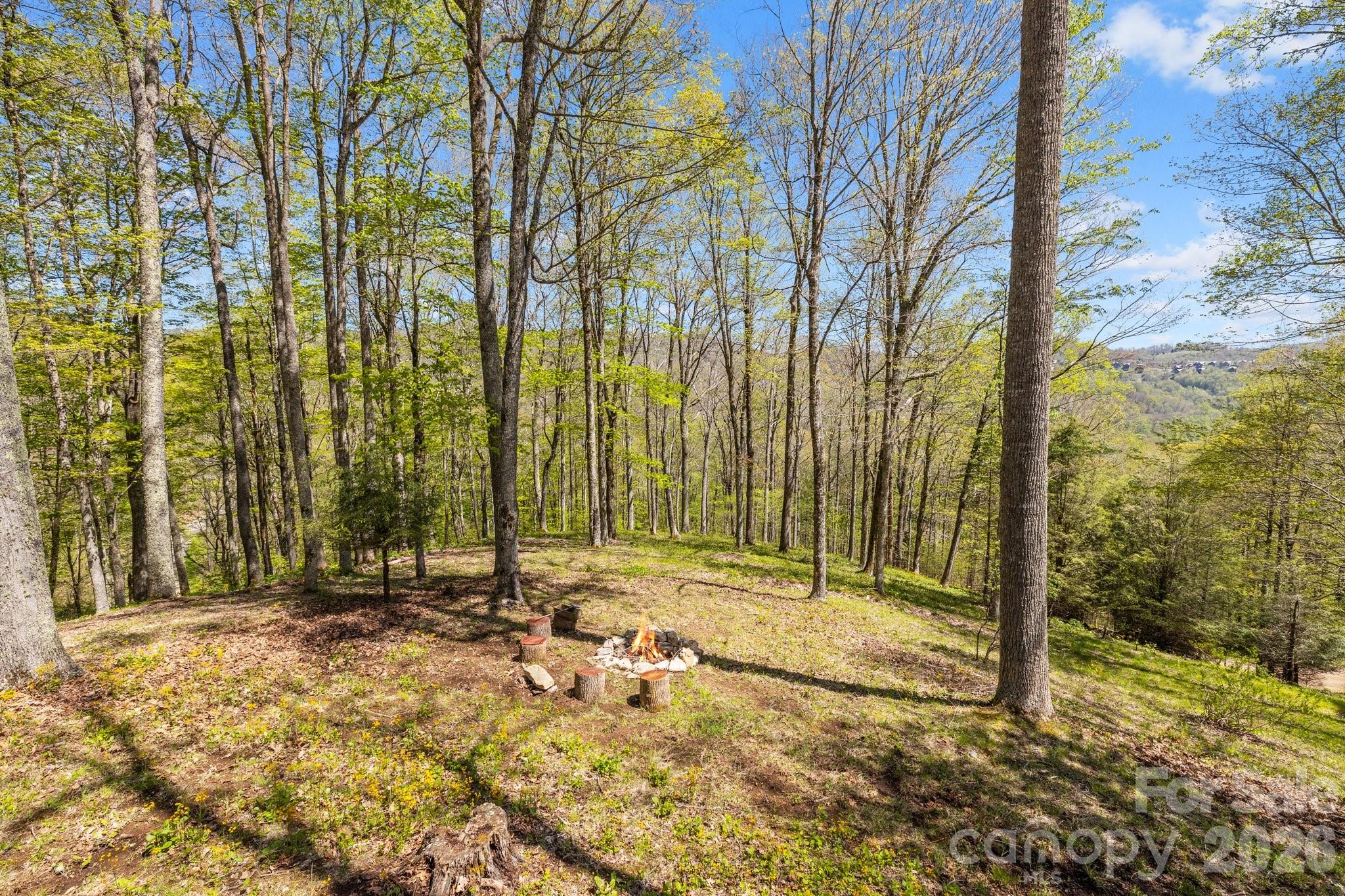 868 English Ridge Drive Mars Hill NC 28754