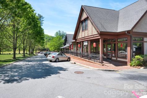 4 Fitzgerald Road Black Mountain NC 28711