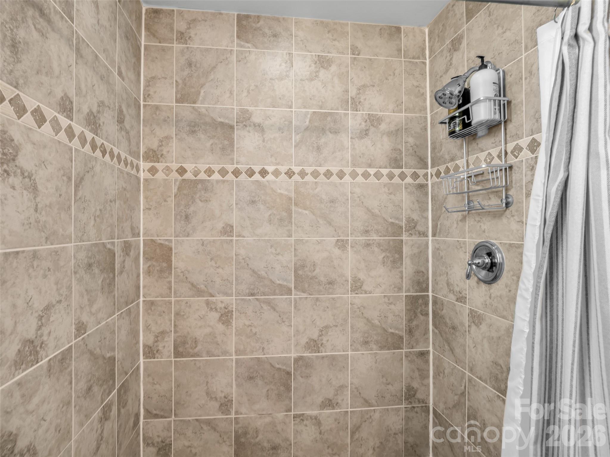 3 Ravine Extension Woodfin NC 28804