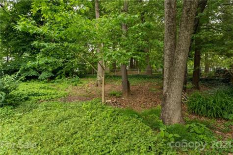 38 Fenner Avenue Asheville NC 28804