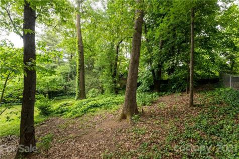 38 Fenner Avenue Asheville NC 28804