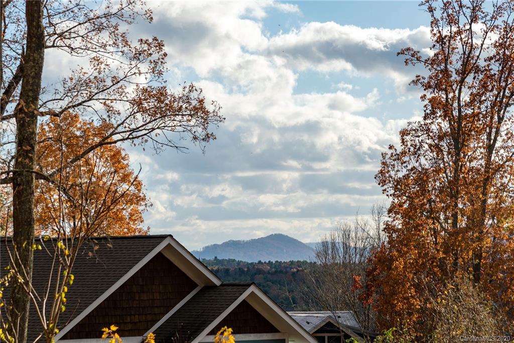 5 Dubois Drive Asheville NC 28805