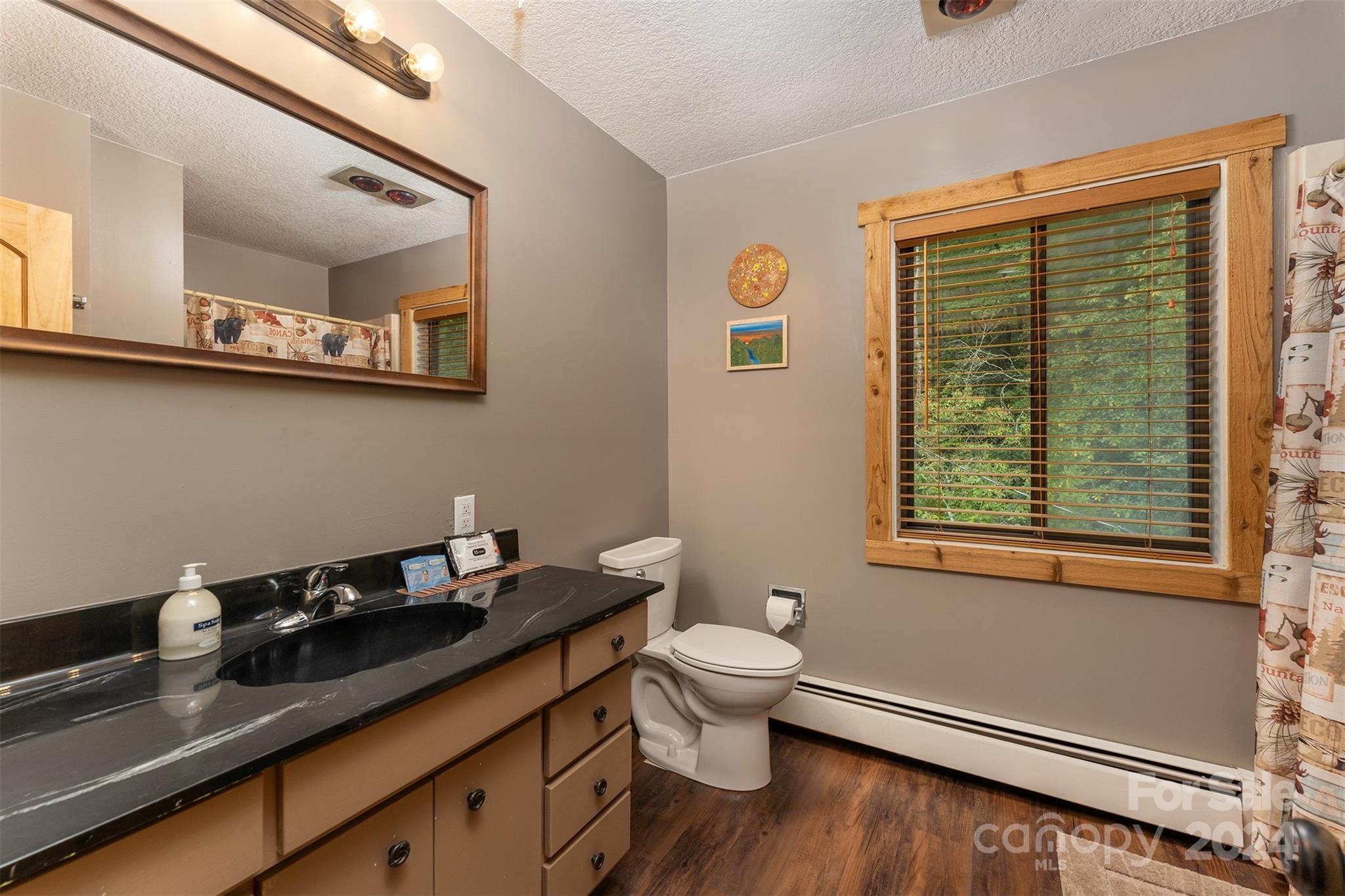 30 Last Resort Road Black Mountain NC 28711