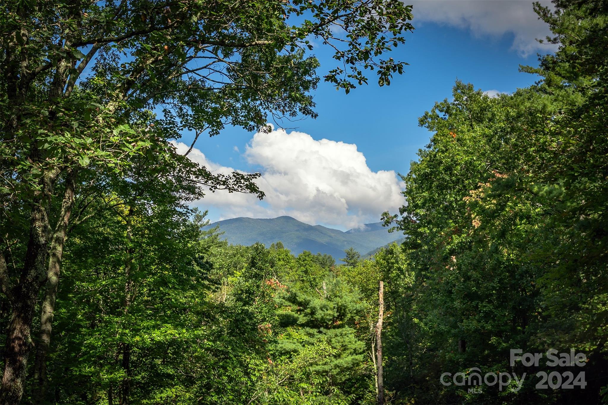 30 Last Resort Road Black Mountain NC 28711