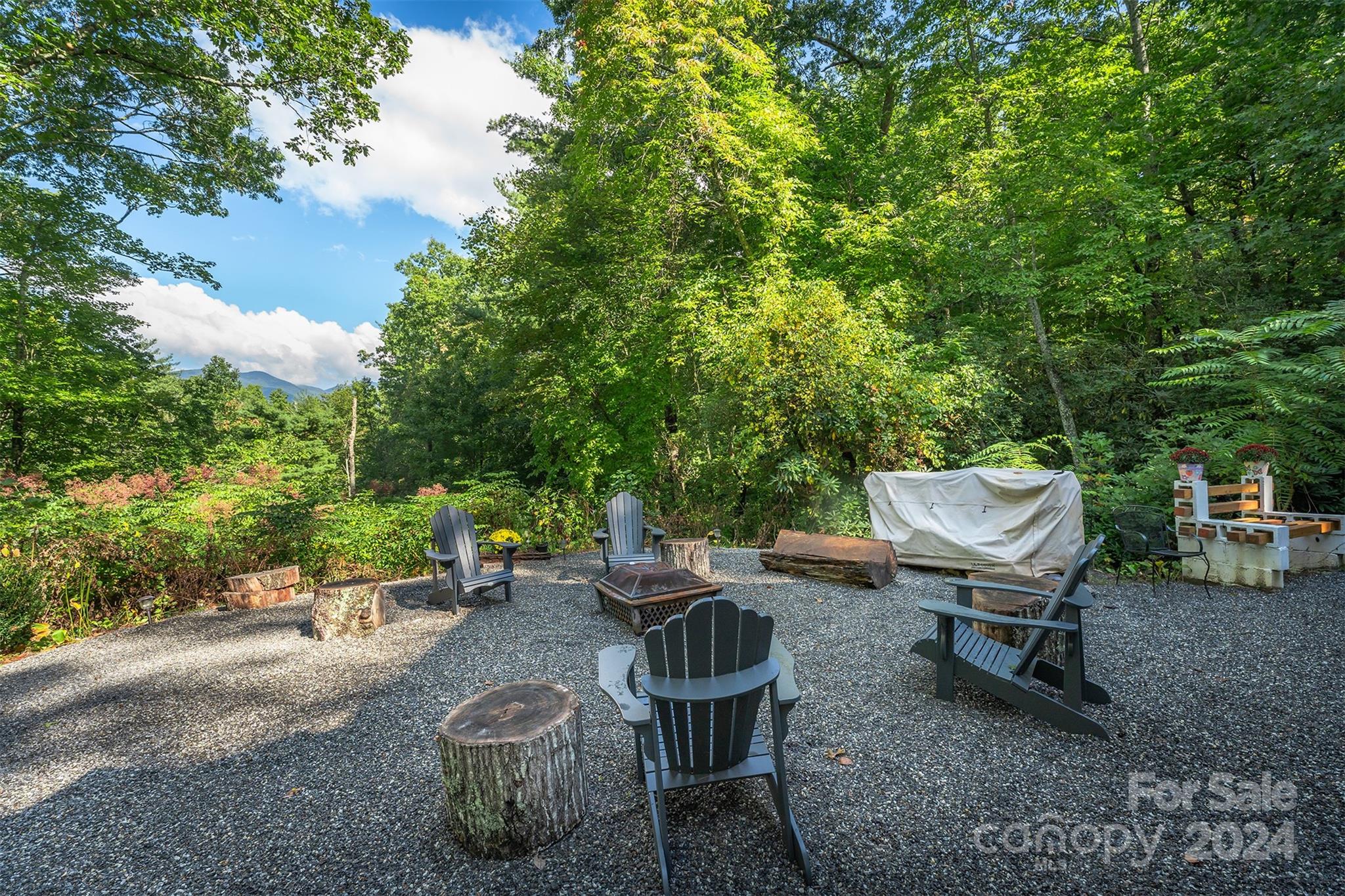 30 Last Resort Road Black Mountain NC 28711